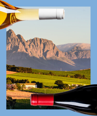 7 of the Best White Wines From South Africa (That Aren’t Chenin Blanc)