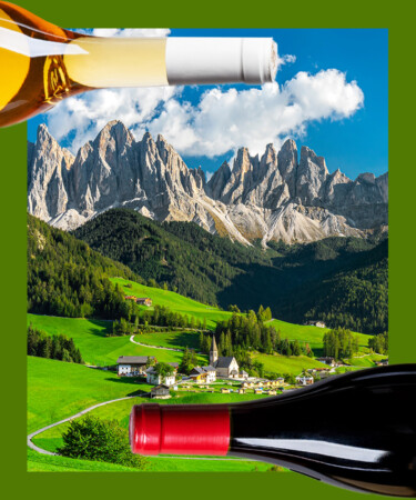 6 of the Best Pinot Noirs From Italy’s Alto Adige