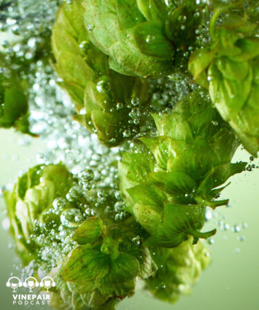 The VinePair Podcast: Is Hop Water Brilliant or BS?